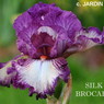 Silk Brocade