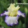 Boundless