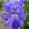 Blue Review