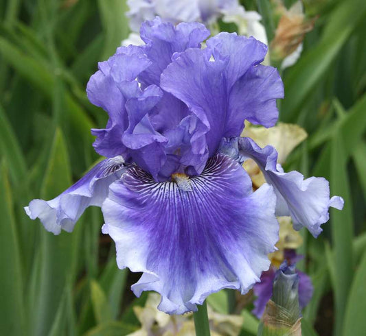 Money In Your Pocket