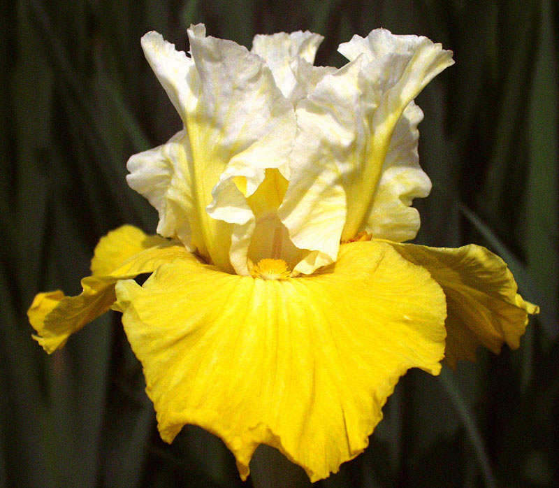 Montana De Oro